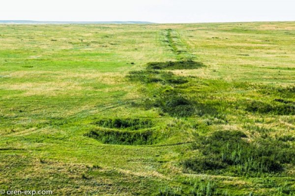 Через какой браузер можно зайти на кракен